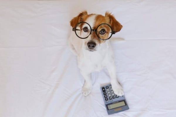 ¿Cuántos años tiene tu fiel compañero perruno en años humanos?